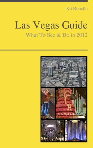 Book cover of Las Vegas, Nevada Guide - What To See & Do