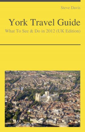 Cover of the book York (UK) Travel Guide - What To See & Do by David Thompson