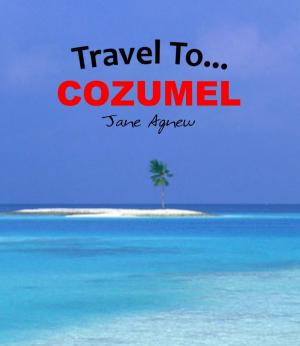 bigCover of the book Travel To… Cozumel by 