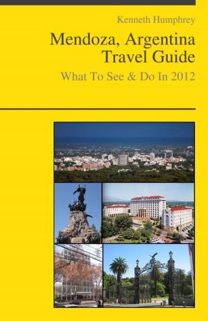 Cover of Mendoza, Argentina Travel Guide - What To See & Do