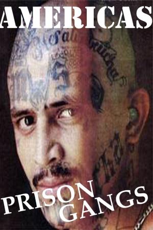 Cover of the book Americas Prison Gangs by Tammy Richards