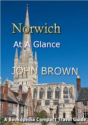 Cover of the book Norwich At A Glance by Christina Walker