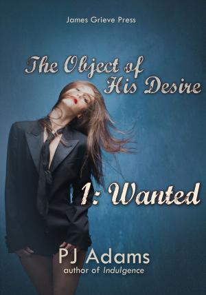 Cover of the book The Object of His Desire 1: Wanted by Polly J Adams