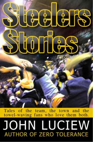 bigCover of the book Steelers Stories by 