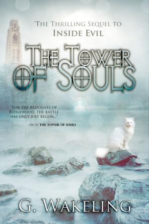 Cover of the book The Tower of Souls by Rosemary Carr