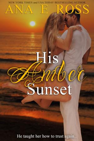 Cover of the book His Amber Sunset by Dara Bowman