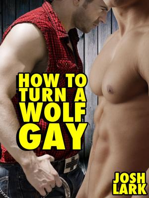 Book cover of How to Turn a Wolf Gay