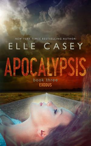 Cover of the book Exodus by Elle Casey, Isabelle Würth, Translator