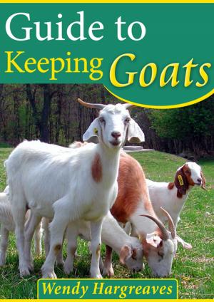 Cover of the book Guide To Keeping Goats by Andrew Westfall