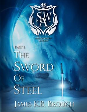 Cover of the book The Sword of Steel by Selena IR Drake