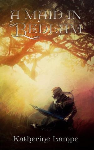 Cover of the book A Maid in Bedlam by Andrea Acosta