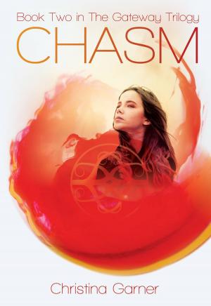 Cover of the book Chasm by Sara Brookes