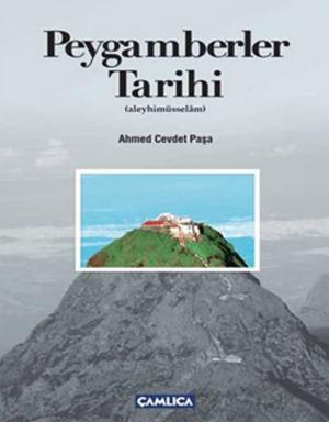 Cover of the book Peygamberler Tarihi by Mark Twain, William Little Hughes