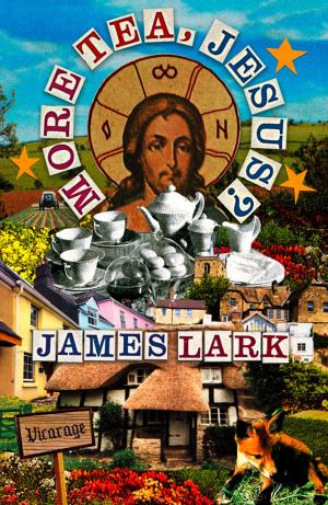 Cover of the book More Tea, Jesus? by Joseph Polansky