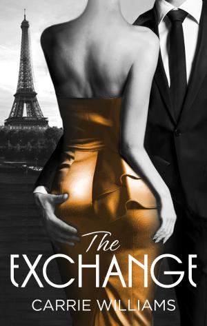 Cover of the book The Exchange by Sylvia Andrew