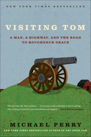 Cover of the book Visiting Tom by Duncan Birmingham