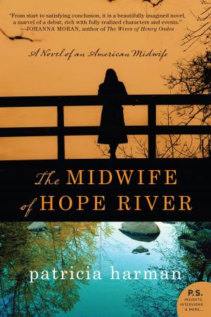 bigCover of the book The Midwife of Hope River by 
