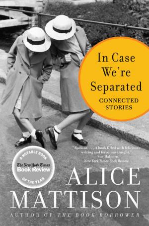 Cover of the book In Case We're Separated by Jessica Grogan