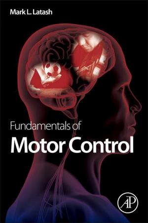 Cover of the book Fundamentals of Motor Control by José Marín-García