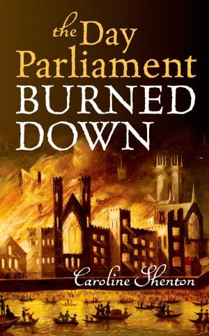 Cover of the book The Day Parliament Burned Down by Jason Scully