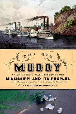 Cover of the book The Big Muddy by Natana Delong-Bas