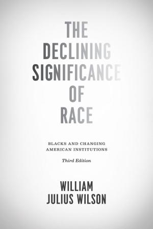 Cover of the book The Declining Significance of Race by Victor Brombert