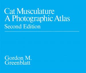 Cover of the book Cat Musculature by Rihan Yeh