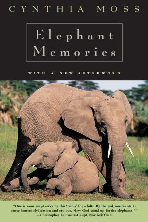 Book cover of Elephant Memories