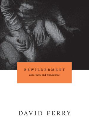 Cover of the book Bewilderment by Friedrich Dürrenmatt