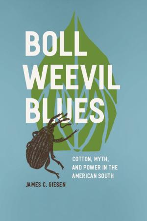 Book cover of Boll Weevil Blues