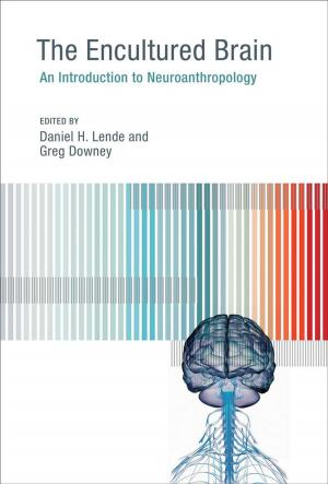 Cover of the book The Encultured Brain by Paolo Belardi