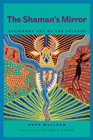 Cover of the book The Shaman’s Mirror by David Brodsky