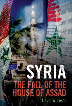 Cover of the book Syria by Susan Kern