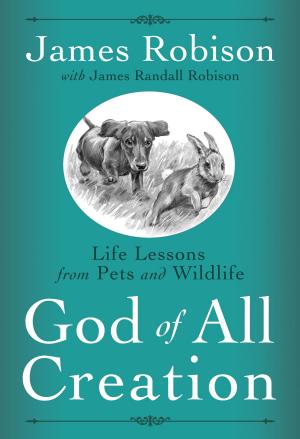 Cover of the book God of All Creation by Catherine Sanders
