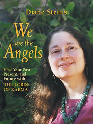 Cover of the book We Are the Angels by Larry Malerba, DO