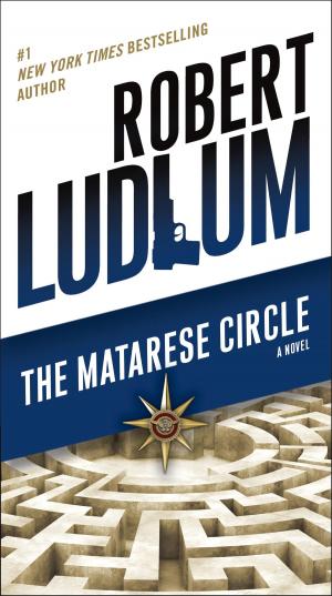 Cover of the book The Matarese Circle by Sandra Chastain