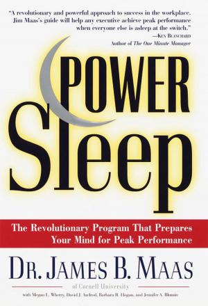 Cover of the book Power Sleep by Sally Goldenbaum