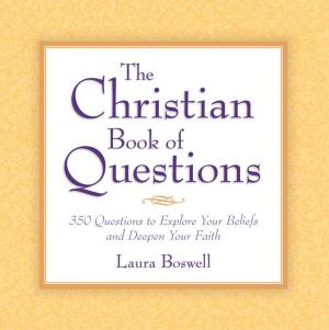 bigCover of the book The Christian Book of Questions by 