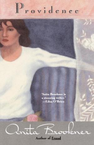 Cover of the book Providence by Janet Benton