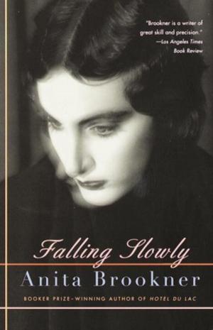 Cover of the book Falling Slowly by Amit Chaudhuri