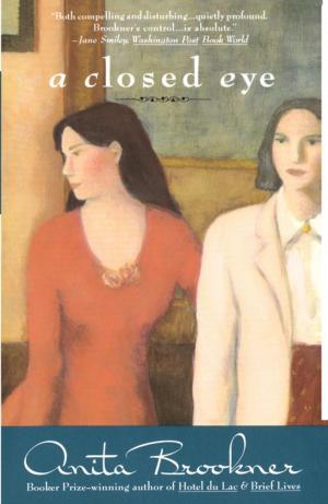 Cover of the book A Closed Eye by Ian McEwan