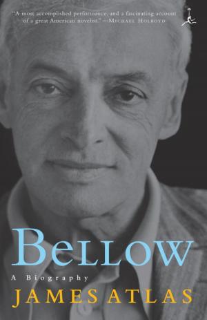 Cover of the book Bellow by Stephen Woodworth
