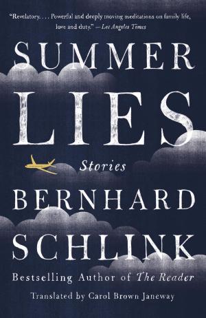 Cover of the book Summer Lies by Jacob Levenson