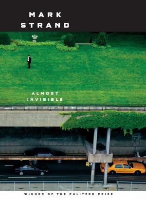 Cover of the book Almost Invisible by Stuart Stevens