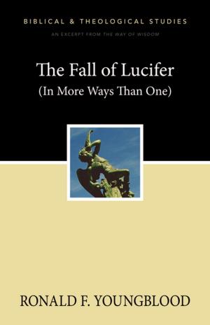 Cover of the book The Fall of Lucifer (In More Ways Than One) by Debbie Barr