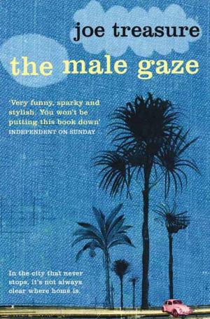 Book cover of Male Gaze