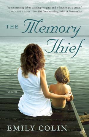 Cover of the book The Memory Thief by V. V. Ganeshananthan