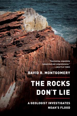 Cover of the book The Rocks Don't Lie: A Geologist Investigates Noah's Flood by Thomas Rid