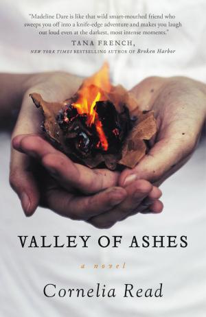 Cover of the book Valley of Ashes by Jeff Abbott