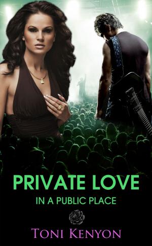 Book cover of Private Love in a Public Place